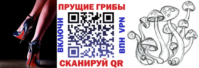 Псилоцибиновые грибы прущие грибы Ярославль