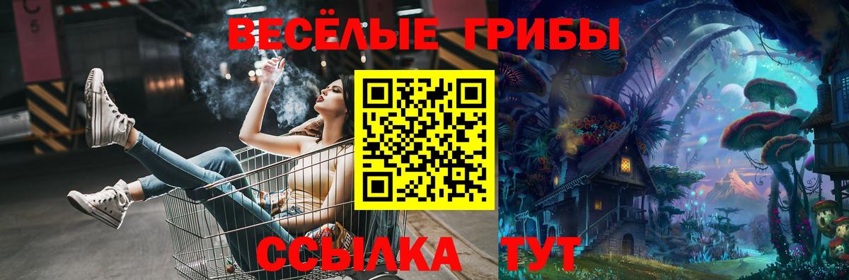 Псилоцибиновые грибы Magic Shrooms Ярославль