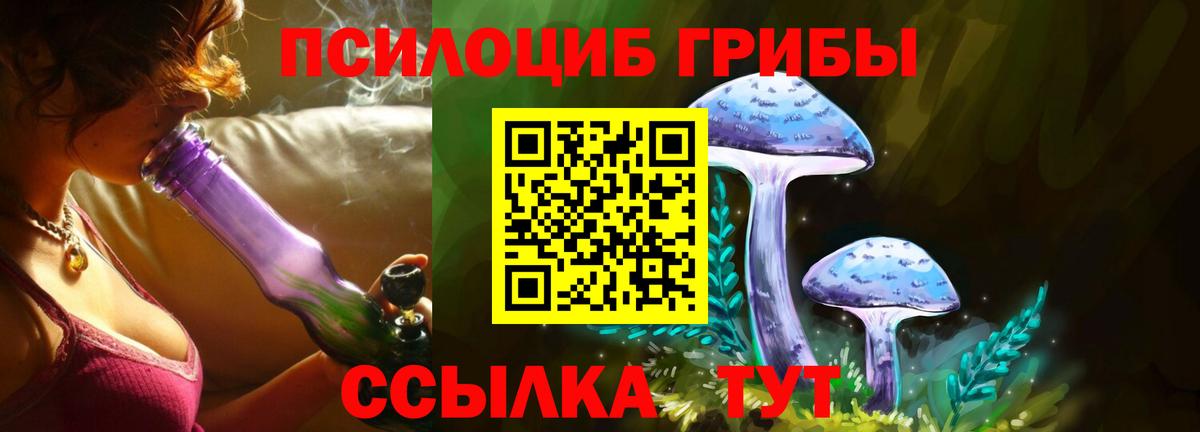 Псилоцибиновые грибы MAGIC MUSHROOMS  Вход с VPN  Ярославль 
